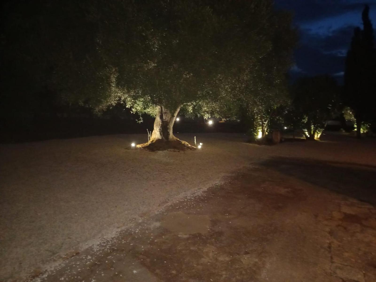 Villa Casina Tra Gli Ulivi Ostuni Esterno foto
